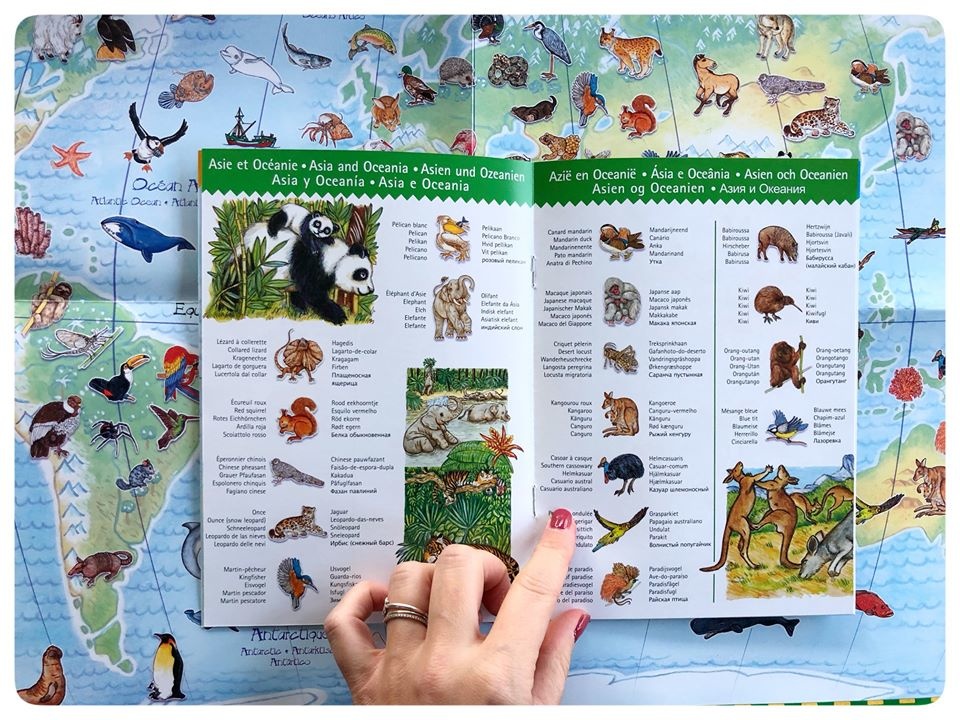 DJECO Les animaux du monde - Puzzle éducatif 100 pièces + livret