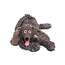 MOULIN ROTY PELUCHE CHIEN POURRI 47CM - ECOLE DES LOISIRS
