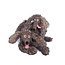 MOULIN ROTY GRANDE PELUCHE CHIEN POURRI - ECOLE DES LOISIRS