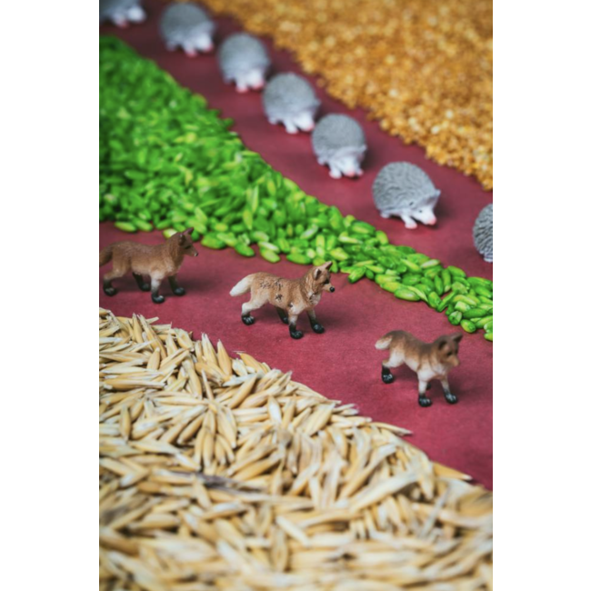 PETIT BOUM BOUTEILLE SENSORIELLE PETIT BOUM "SPY" FORÊT