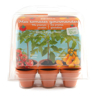 RADIS & CAPUCINE MINI-SERRE - TOMATES GOURMANDES CERISE/POIRE JAUNE