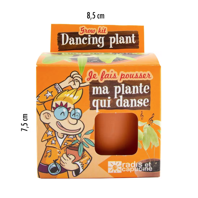 POT 8CM DÉCOUVERTE - MA PLANTE QUI DANSE - MOM POP