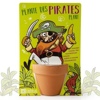 RADIS & CAPUCINE POT 5,5CM MAGIQUE - PLANTE DES PIRATES