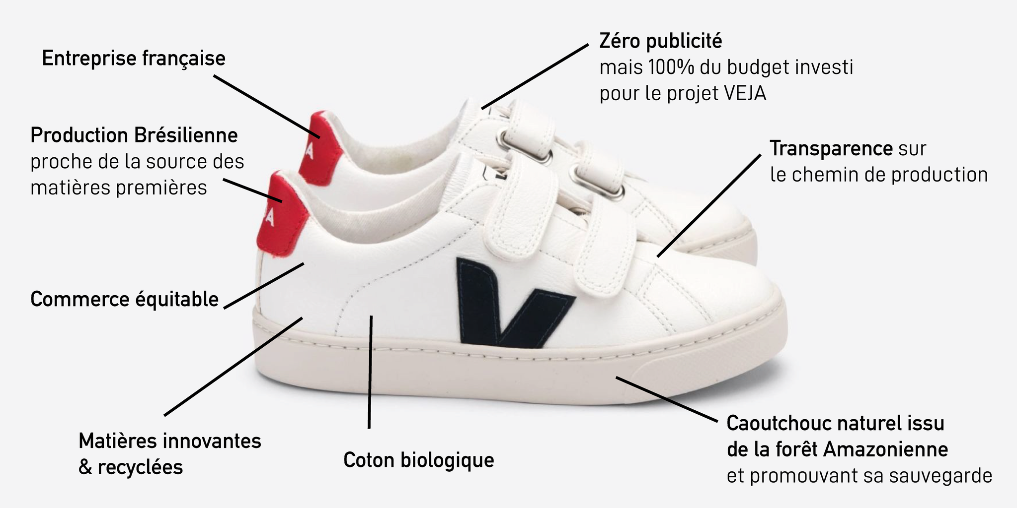 De quoi est composé une paire de basket VEJA