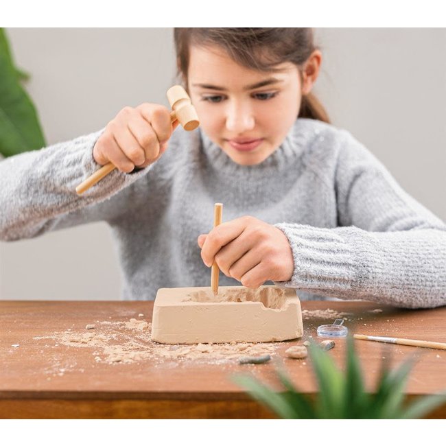 KIT EXPÉDITION NATURE - 4 VÉRITABLES FOSSILES À DÉTERRER