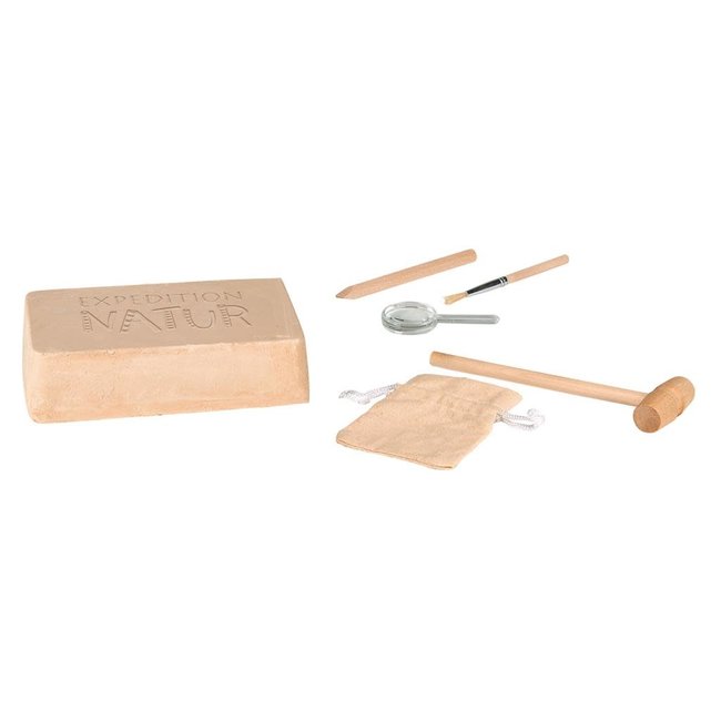 KIT EXPÉDITION NATURE - 4 VÉRITABLES FOSSILES À DÉTERRER