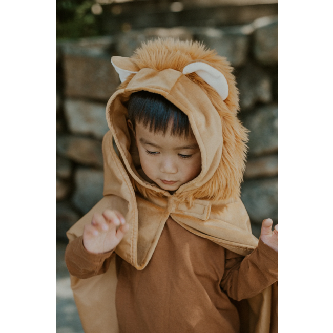 GREAT PRETENDERS DÉGUISEMENT - CAPE BÉBÉ LION 2-3ANS