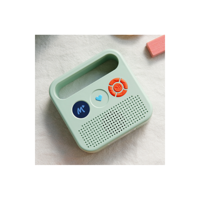 MERLIN ENCEINTE MERLIN - BAYARD / RADIO FRANCE VERTE