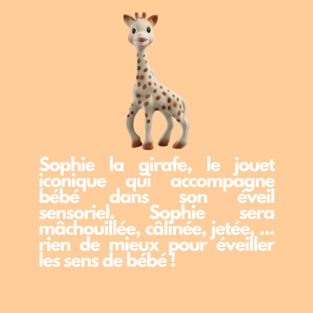 Balle de Préhension So' Pure Sophie La Girafe VULLI : Comparateur