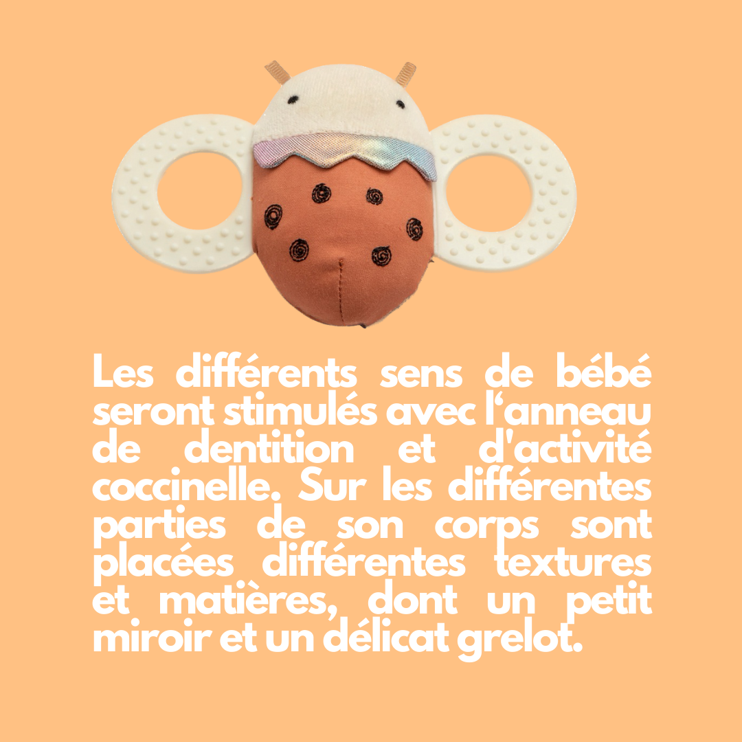 Les différents sens de bébé seront stimulés avec l‘anneau de dentition et d'activité coccinelle. Sur les différentes parties de son corps sont placées différentes textures et matières, dont un petit miroir et un délicat grelot. 