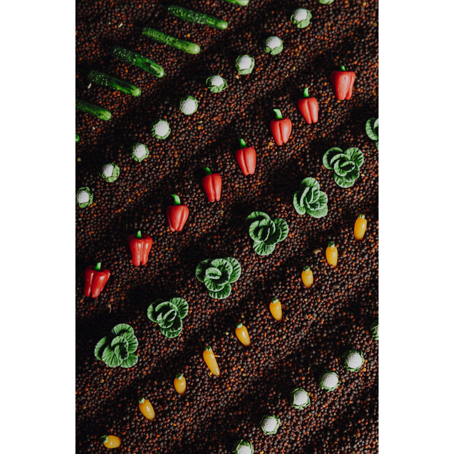 PETIT BOUM BOUTEILLE SENSORIELLE PETIT BOUM "LEARN" VEGGIES