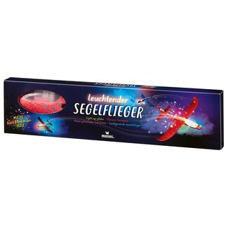 AVION PLANEUR LUMINEUX