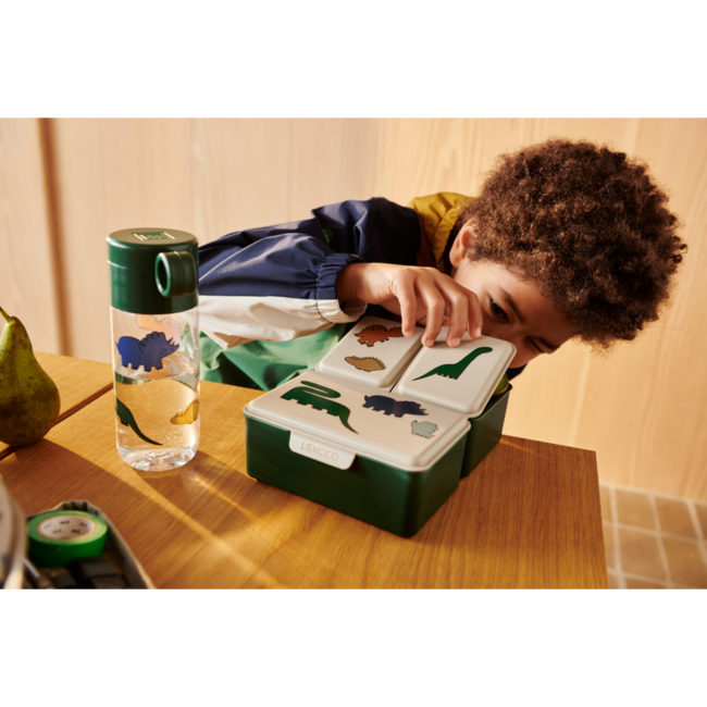 LIEWOOD GOURDE 350ML CLEMENCE DINOSAURS / MIST