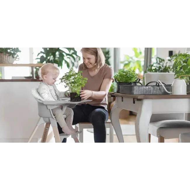 STOKKE CLIKK - COUSSIN D'ASSISE - NORDIC GREY