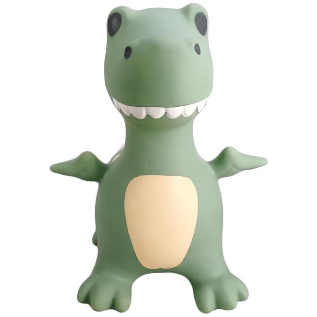 FIND THAT HIPPO BALLON ANIMAL SAUTEUR - DINO DEXTER