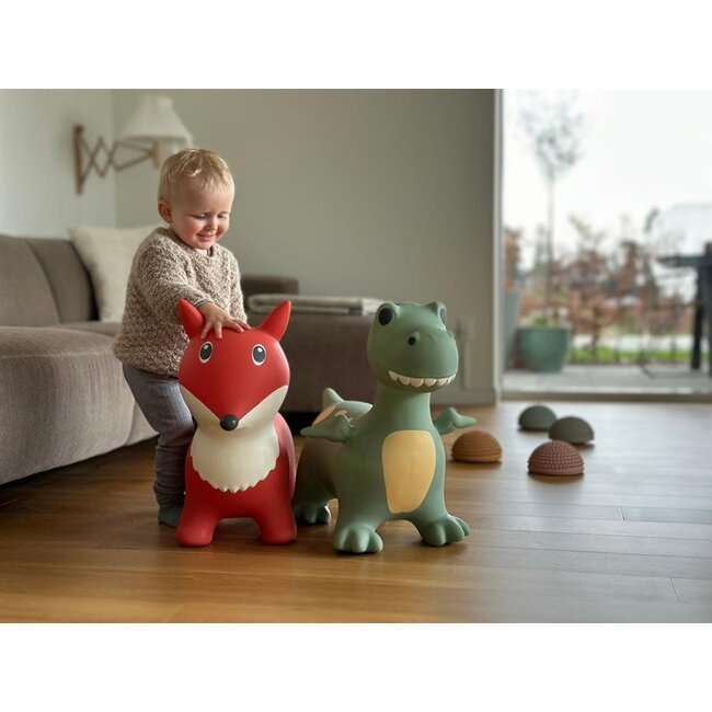 FIND THAT HIPPO BALLON ANIMAL SAUTEUR - DINO DEXTER
