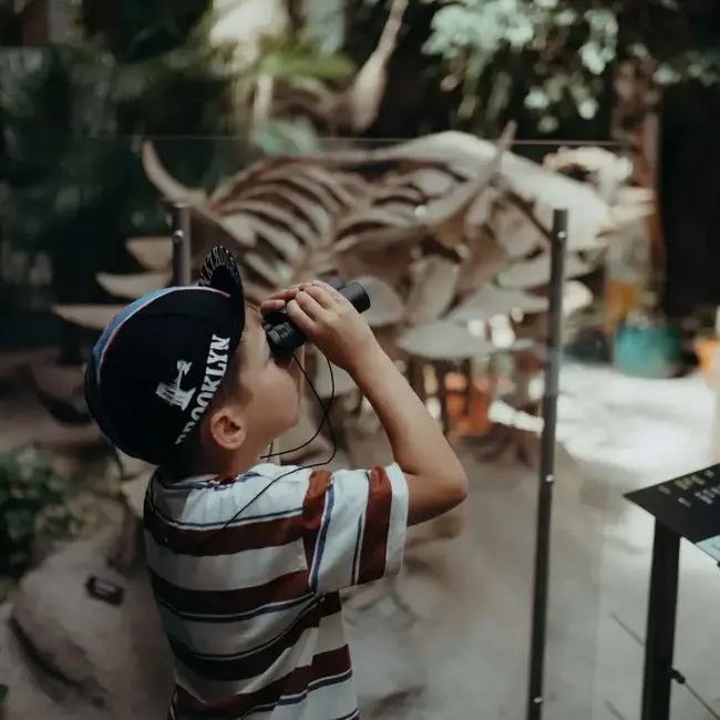 KIDYWOLF JUMELLES 10X25 "KIDYBINOCULARS"