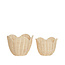 OLLI ELLA ENSEMBLE DE PANIERS EN ROTIN TULIPE - LILY BUTTERCREAM