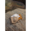 LIEWOOD BONNET COTON OREILLES "GINA" SANDY