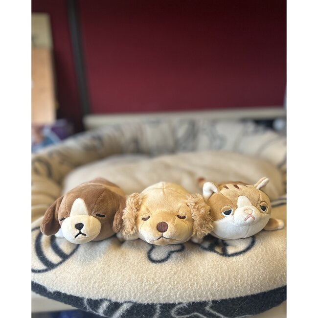 NEMU NEMU NEMU NEMU - CHIEN GOLDEN RETRIEVER SORA - BABY 11CM