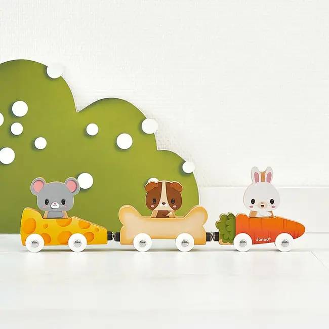 JANOD TRAIN D'ANIMAUX FAMILIERS MAGNÉTIQUES