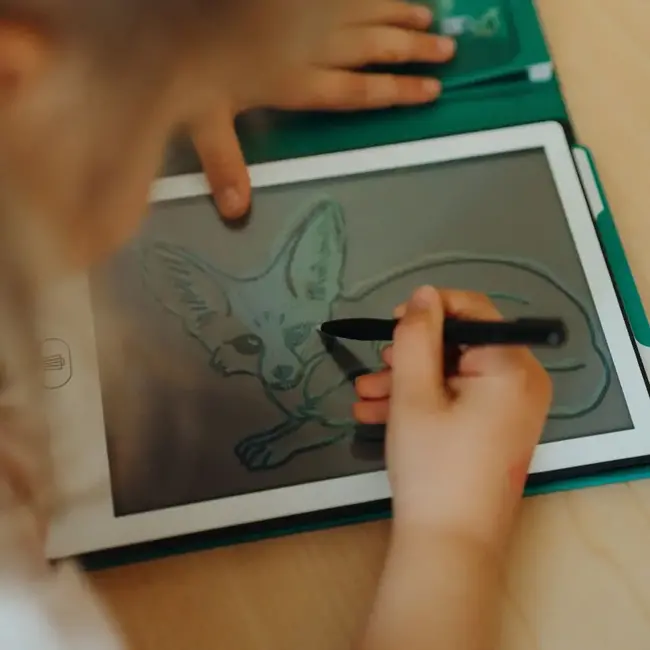 KIDYWOLF TABLETTE À DESSIN LCD KIDYDRAW-MINI - ANIMAUX DU MONDE