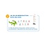 DJECO EDULUDO - MON GRAND COFFRET DES LETTRES