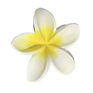 RATATAM GRANDE PINCE À CHEVEUX HAWAI - BLANC