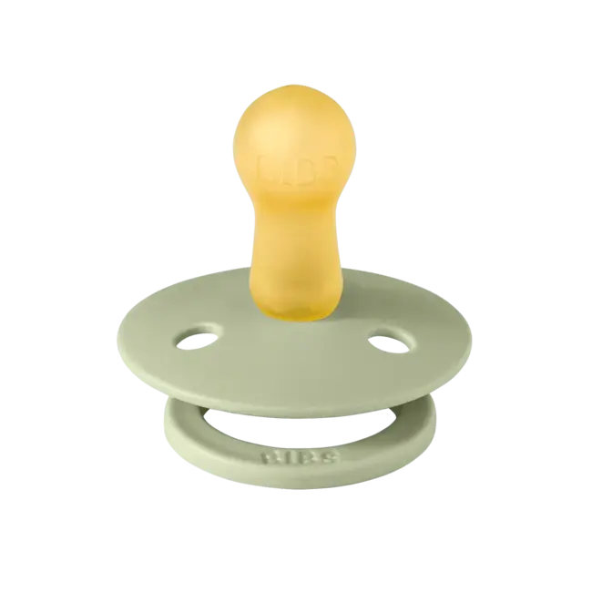 BIBS PACK 2 TÉTINES BIBS URBAN GARDEN - BUMBLEBEE MUSHROOM/SAGE