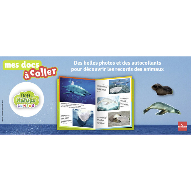 MILAN MES DOCS À COLLER - DEFIS NATURE - LES ANIMAUX DES MERS