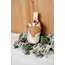 EASY PEASY CHAUSSON CUIR SOUPLE "BLUBLU" BICHE SANDSHELL