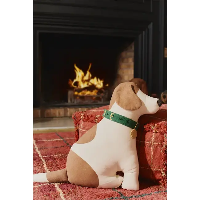 LORENA CANALS COUSSIN CHIEN COOPER LORENA CANALS