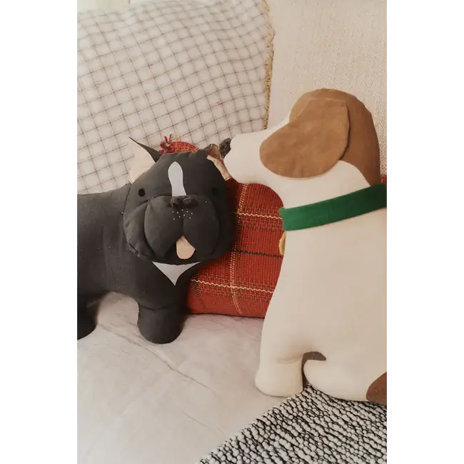 LORENA CANALS COUSSIN CHIEN JIMMY LORENA CANALS