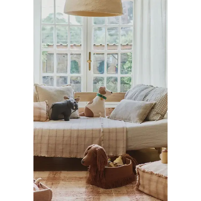 LORENA CANALS COUSSIN CHIEN JIMMY LORENA CANALS