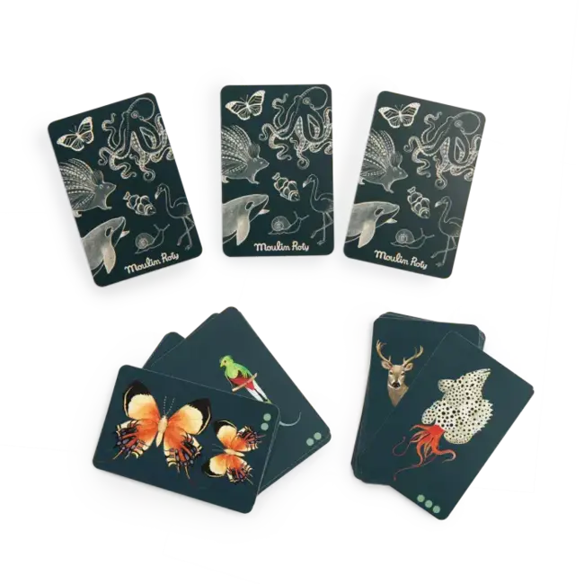 MOULIN ROTY JEU CHERCHE ET TROUVE - TOUT AUTOUR DU MONDE