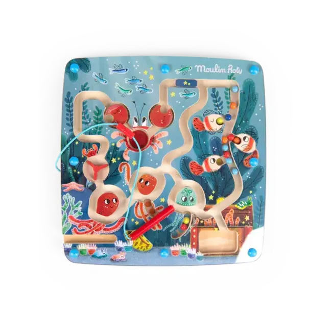 MOULIN ROTY LABYRINTHE MAGNÉTIQUE 18M+ LES AVENTURES DE PAULIE