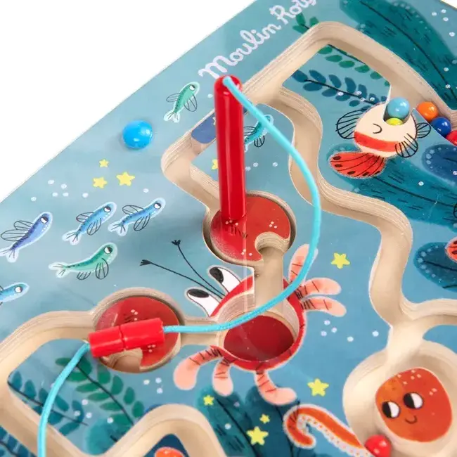 MOULIN ROTY LABYRINTHE MAGNÉTIQUE 18M+ LES AVENTURES DE PAULIE