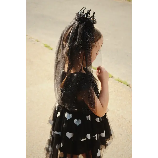 KONGES SLOJD DÉGUISEMENT - COURONNE DE PRINCESSE ET VOILE NOIR