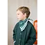 APACHES TIGRO FOREST - PETIT FOULARD APACHES MANIKA