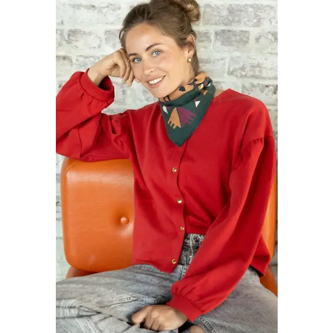 APACHES RAJAH FOREST - PETIT FOULARD APACHES MANIKA