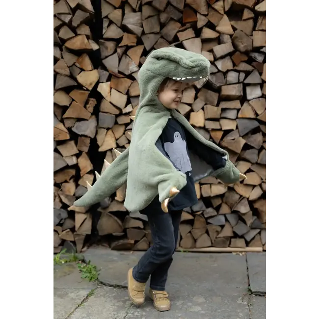 GREAT PRETENDERS DÉGUISEMENT - CAPE BÉBÉ DINOSAURE T-REX 2-3ANS