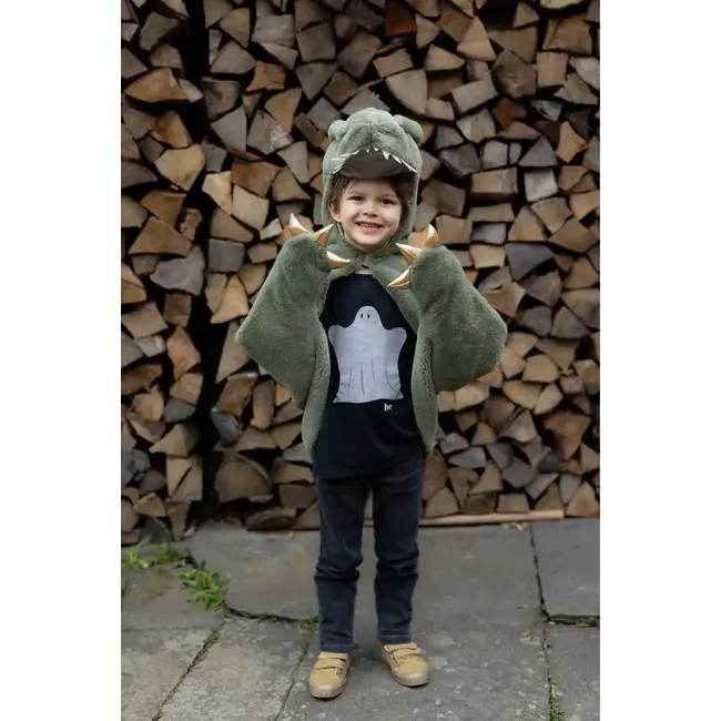 GREAT PRETENDERS DÉGUISEMENT - CAPE BÉBÉ DINOSAURE T-REX 2-3ANS