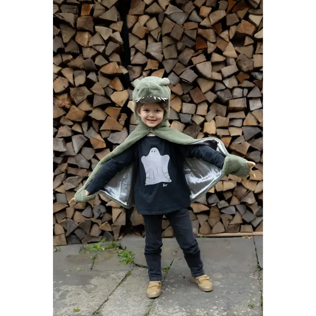 GREAT PRETENDERS DÉGUISEMENT - CAPE BÉBÉ DINOSAURE T-REX 2-3ANS