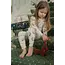 KONGES SLOJD PELUCHE CHIEN & SA NICHE