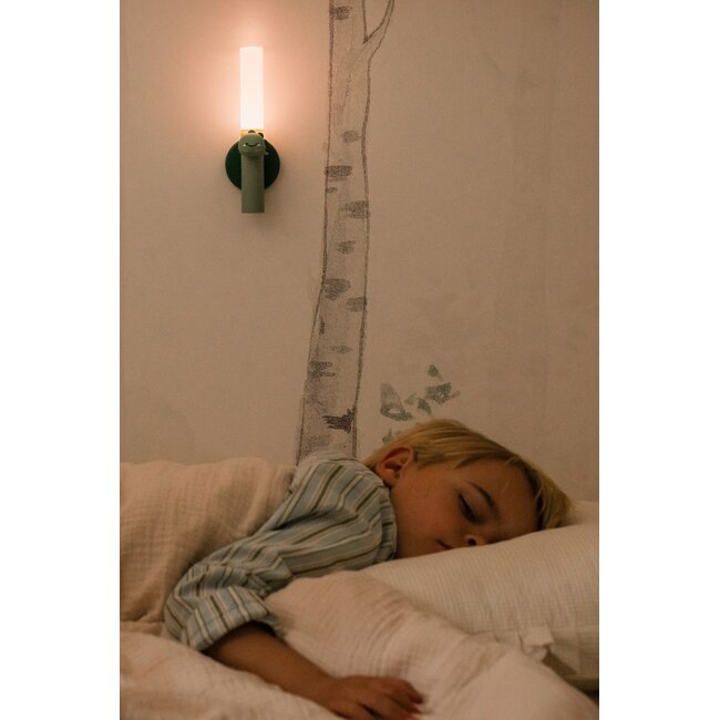 THE ZOOFAMILY LAMPE 3 EN 1 ZOO LIGHT - DINO