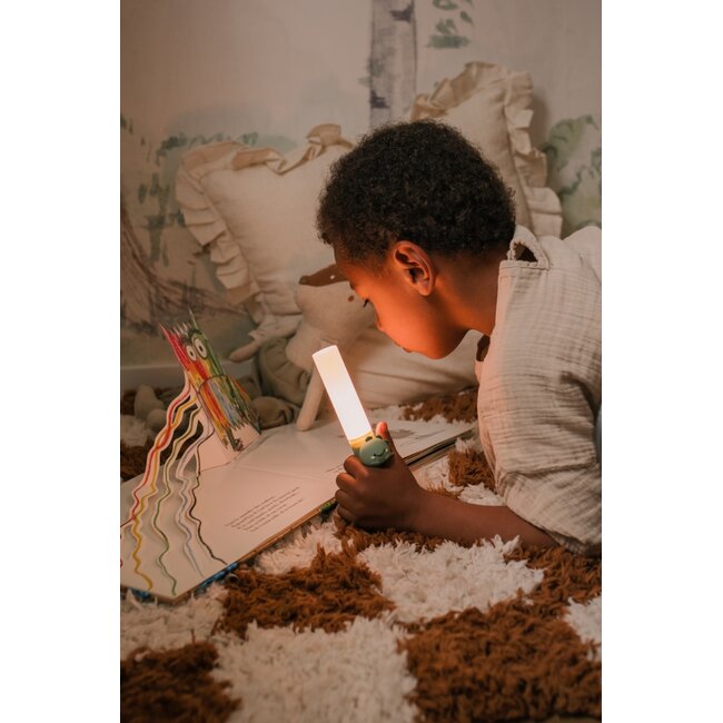 THE ZOOFAMILY LAMPE 3 EN 1 ZOO LIGHT - DINO