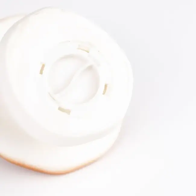 EGMONT TOYS TIRELIRE - CHAMPIGNON CUIVRE