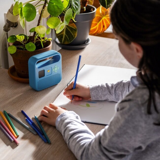 MERLIN ENCEINTE MERLIN - BAYARD / RADIO FRANCE BLEU POLAIRE