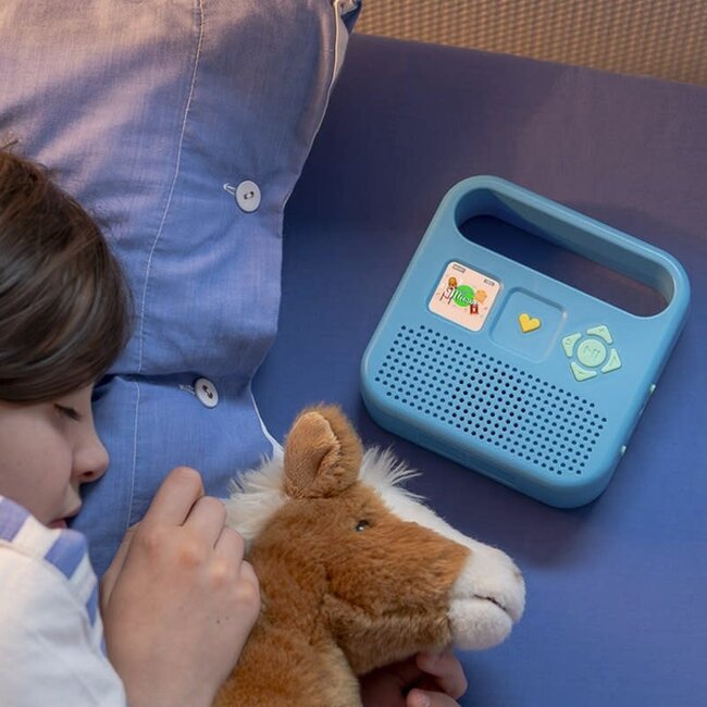 MERLIN ENCEINTE MERLIN - BAYARD / RADIO FRANCE BLEU POLAIRE