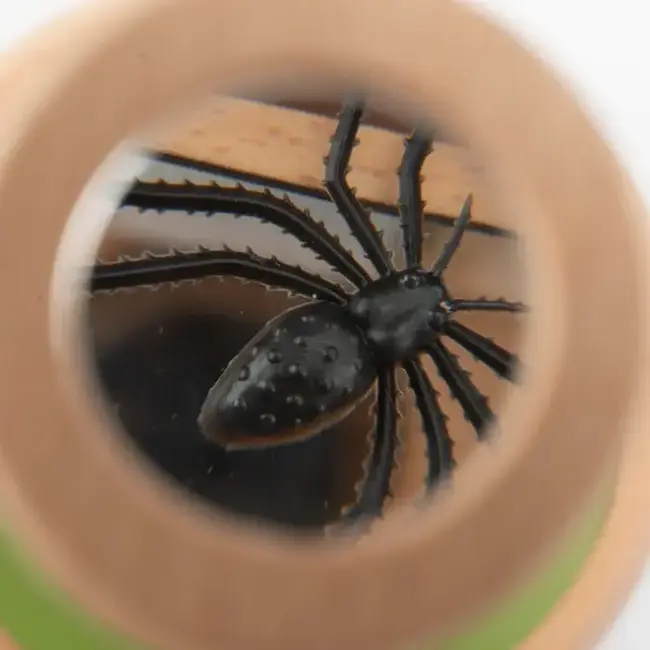 MOULIN ROTY GRANDE BOÎTE D'OBSERVATION  - LE JARDIN DU MOULIN